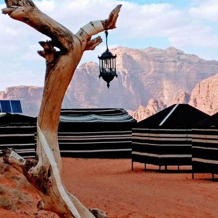 Desert Tree Camp&Tours 瓦迪拉姆 外观 照片