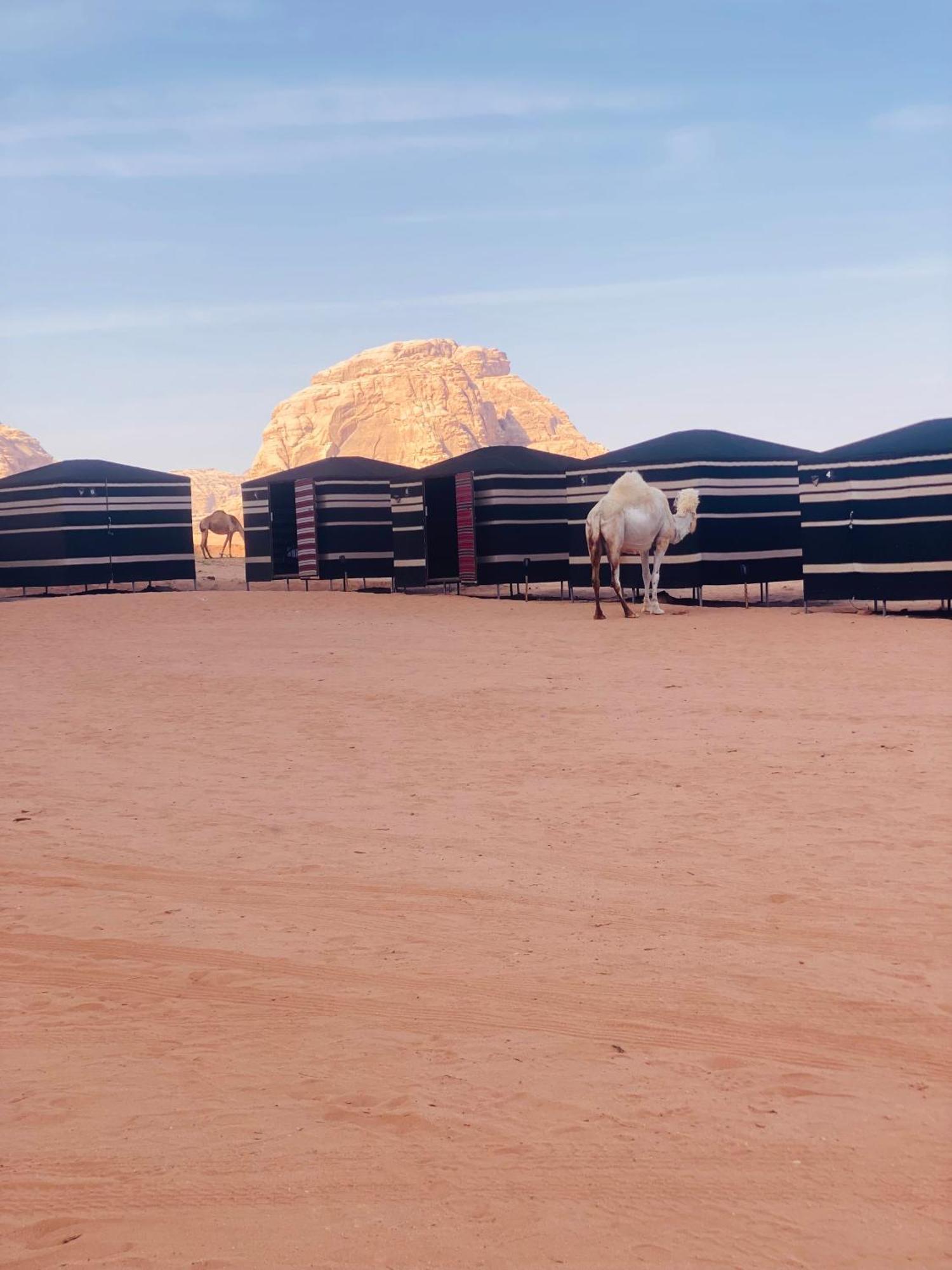 Desert Tree Camp&Tours 瓦迪拉姆 外观 照片
